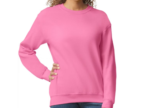 Bursting with Holiday Spirit ! Bow Sweatshirt ( Front and Back Print )