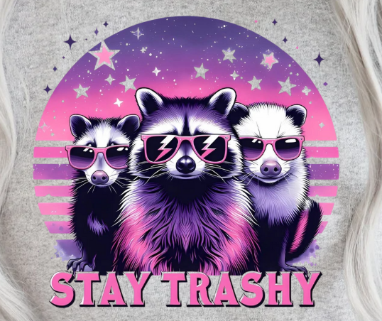 "Stay Trashy" Sweatshirt or Hoodie